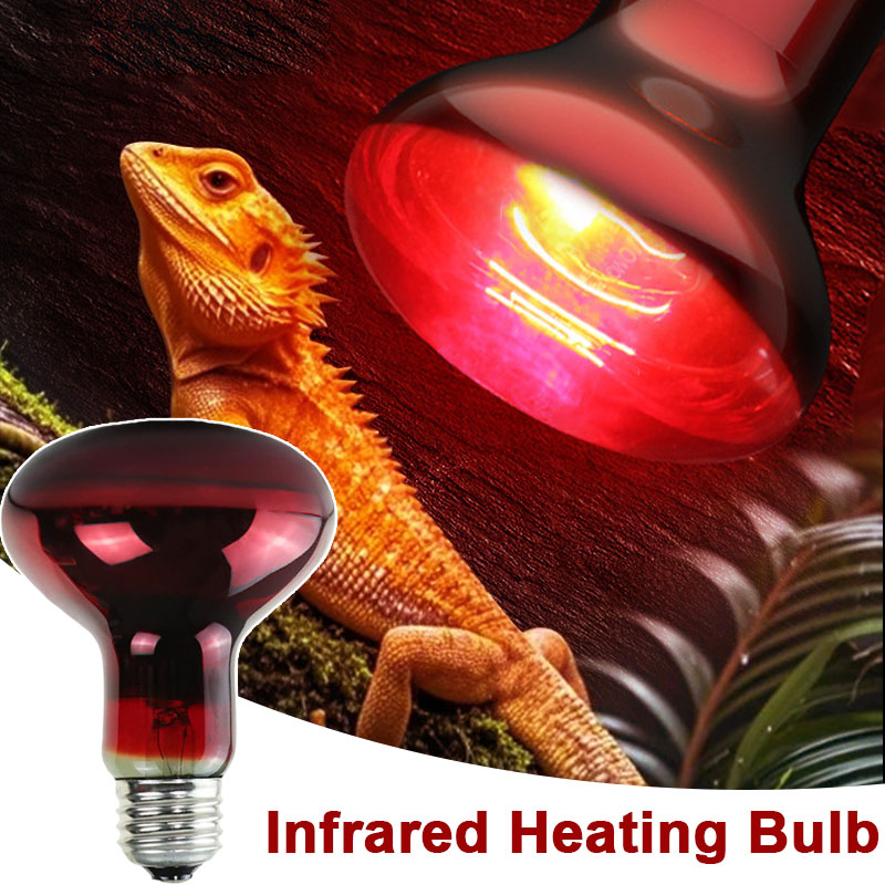Reptile Heat Lamp 100V/220V In - Gecko Lighting & Decor ulasan dan harga