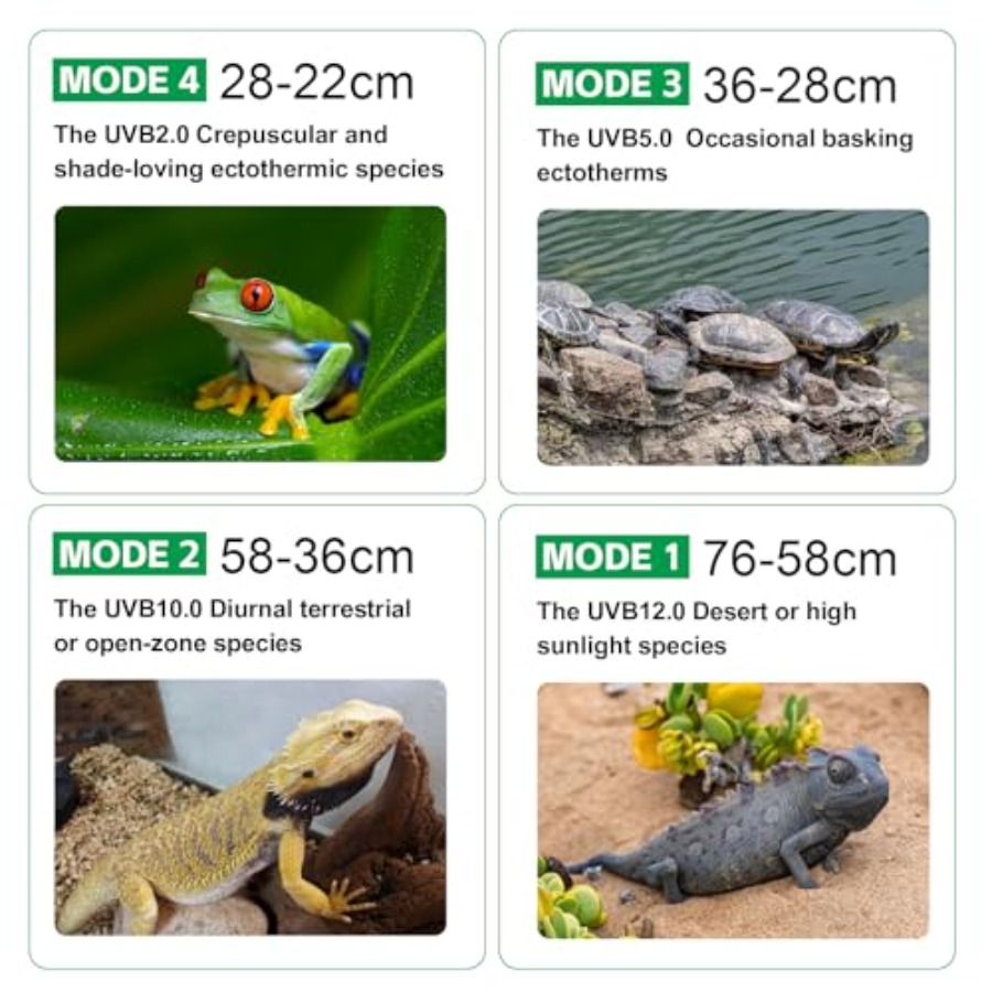 UVB Light for Reptiles with Di - Gecko Lighting & Decor ulasan dan harga