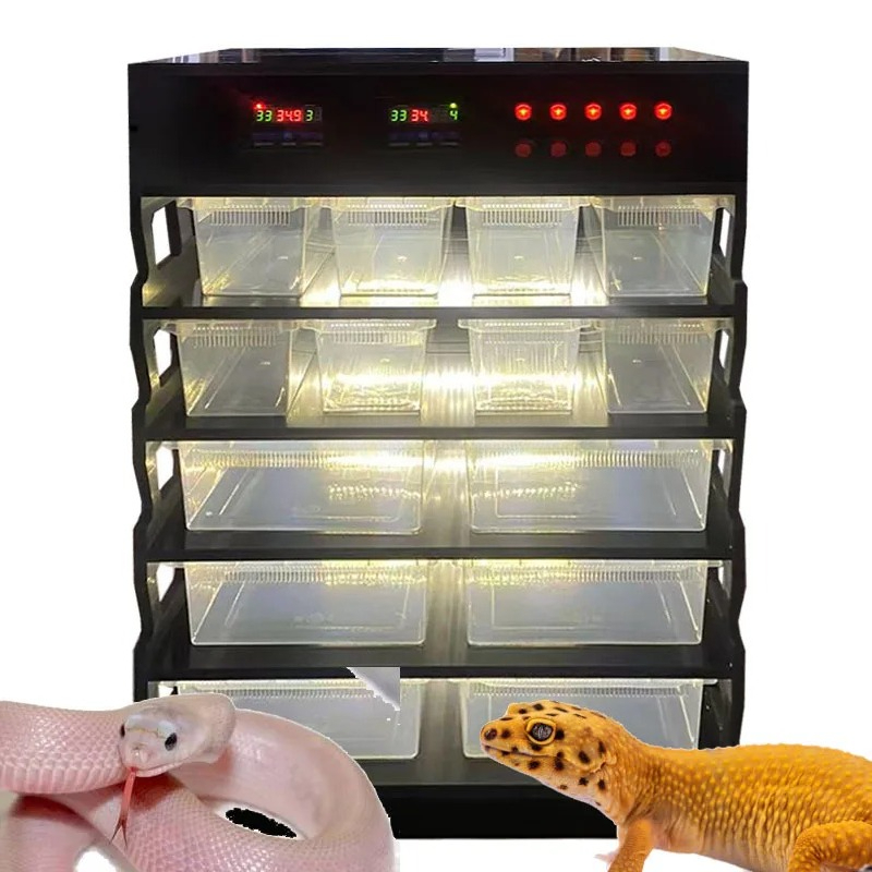 Intelligent PVC Reptile Furnit - Gecko Lighting & Decor ulasan dan harga