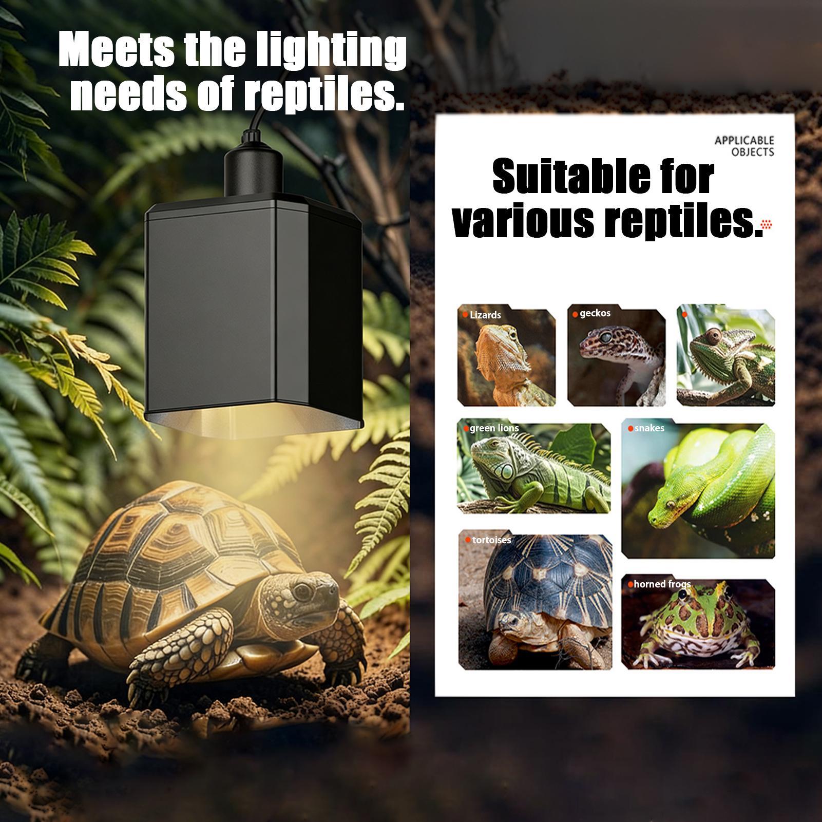 Heat Lamp Shade For Reptiles T - Gecko Lighting & Decor ulasan dan harga