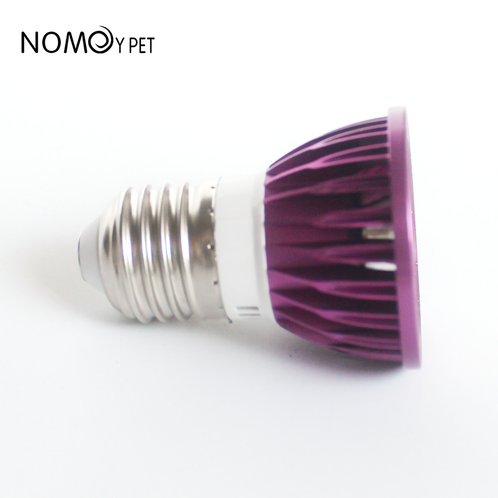 NOMOY Moonlight LED Night Ligh - Gecko Lighting & Decor ulasan dan harga